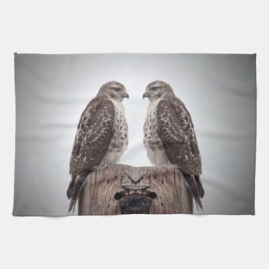 Haviken op een post theedoek (Horizontaal)