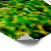 Havikogen -- kunstprint poster (Hoek)