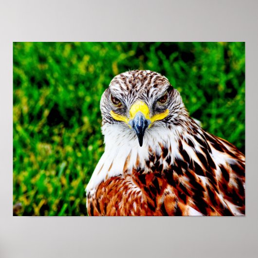 Havikogen -- kunstprint poster (Voorkant)