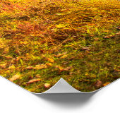 Haviland Cove Beach in Glens Herfsten, NY Poster (Hoek)