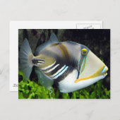 Hawaï Briefkaart (Voorkant / Achterkant)