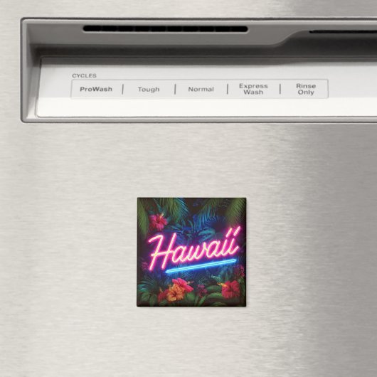 Hawaï Magneet (Insitu (Vaatwasser))