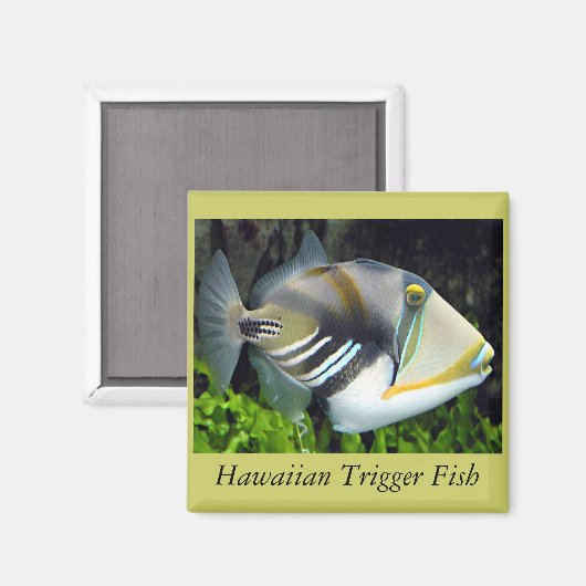 Hawaï Magneet (Voorkant / Achterkant)