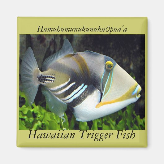 Hawaï Magneet (Voorkant)