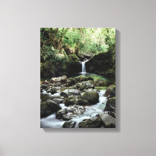 Hawaï, Maui, Een waterval stroomt in Blue Pool Canvas Afdruk
