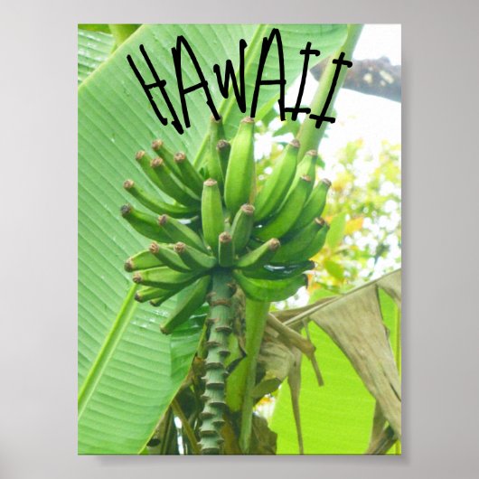 HAWAÏ NATUUR POSTER (Voorkant)