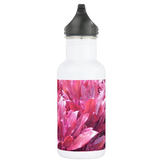 Hawaï om plant te verlaten waterfles  (Rechts)