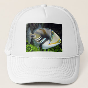 Hawaï Trucker Pet