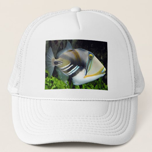 Hawaï Trucker Pet (Voorkant)