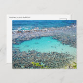 Hawaïaans Briefkaart (Voorkant / Achterkant)