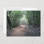 Hawaïaans Briefkaart (Voorkant / Achterkant)