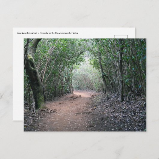 Hawaïaans Briefkaart (Voorkant / Achterkant)