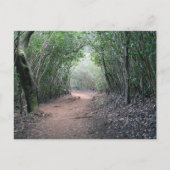 Hawaïaans Briefkaart (Voorkant)