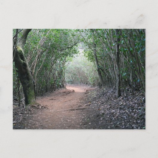 Hawaïaans Briefkaart (Voorkant)