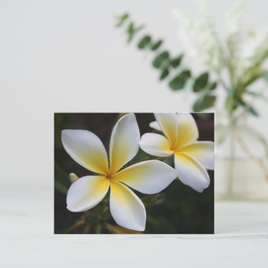 Hawaïaans Briefkaart (Staand voorkant)