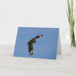 Hawaïaans kortegeoriënteerd Pueo Kaart