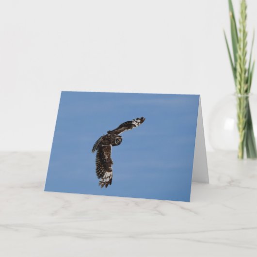 Hawaïaans kortegeoriënteerd Pueo Kaart (Voorkant)