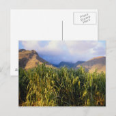 Hawaïaans landschap briefkaart (Voorkant / Achterkant)