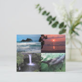 Hawaïaans Landschap Vier Foto Aloha Hawaii Briefkaart (Staand voorkant)