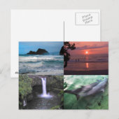 Hawaïaans Landschap Vier Foto Aloha Hawaii Briefkaart (Voorkant / Achterkant)