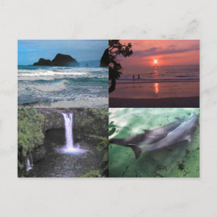 Hawaïaans Landschap Vier Foto Aloha Hawaii Briefkaart