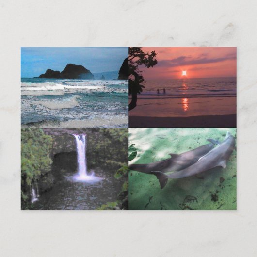 Hawaïaans Landschap Vier Foto Aloha Hawaii Briefkaart (Voorkant)