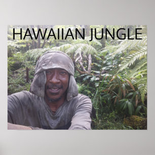 HAWAIAANS OERWOUD POSTER
