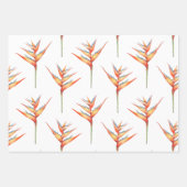 Hawaïaans Print heliconia bloem 2 Inpakpapier Vel (Voorkant)