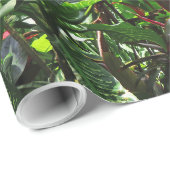 Hawaïaans regenwoud cadeaupapier (Rol Hoek)