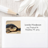 Hawaïaans Zee Schildpad Adresetiketten Etiket (Insitu)