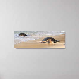Hawaïaans Zee Schildpad op Strand Canvas Print