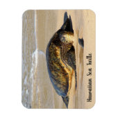 Hawaïaans Zee Schildpad op zand Magneet (Verticaal)