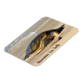 Hawaïaans Zee Schildpad op zand Magneet (Linkerzijde)