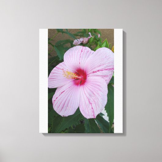 Hawaiaanse Bloem Canvas Afdruk (Voorkant)