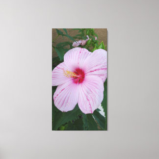 Hawaiaanse Bloem Canvas Afdruk