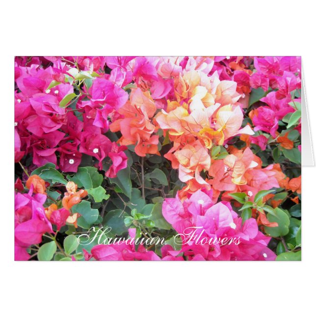 Hawaiaanse Bloemen (Voorkant Horizontaal)