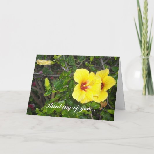 Hawaiaanse Bloemen Kaart (Voorkant)