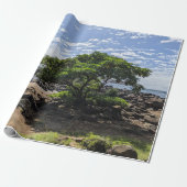 Hawaiaanse boom landschapsfoto cadeaupapier (Uitgerold)