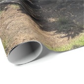 Hawaiaanse boom landschapsfoto cadeaupapier (Rol Hoek)