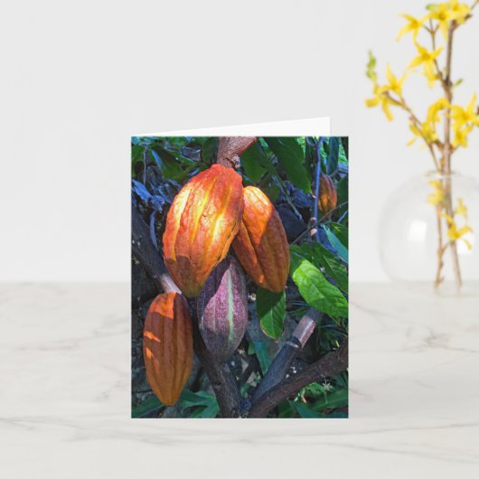 Hawaïaanse cacao kaart (Gele Bloem)