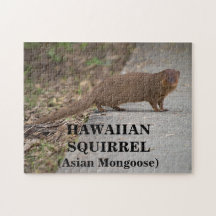 Hawaïaanse eekhoorn (Aziatische Mongoose) foto puz