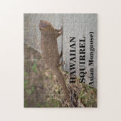 Hawaïaanse eekhoorn (Aziatische Mongoose) foto puz Legpuzzel (Verticaal)