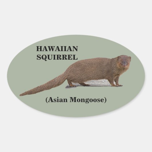 Hawaïaanse eekhoorn (Aziatische Mongoose) Ovale St Ovale Sticker (Voorkant)