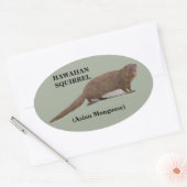 Hawaïaanse eekhoorn (Aziatische Mongoose) Ovale St Ovale Sticker (Envelop)