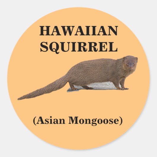 Hawaïaanse eekhoorn (Aziatische Mongoose) Ronde St Ronde Sticker (Voorkant)