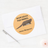 Hawaïaanse eekhoorn (Aziatische Mongoose) Ronde St Ronde Sticker (Envelop)