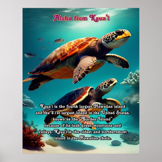 Hawaïaanse eilanden Kauai Aloha Poster (Voorkant)