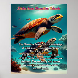 Hawaïaanse eilanden land van Aloha Poster