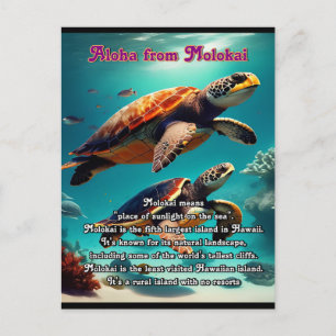 Hawaïaanse eilanden Molokai Aloha Briefkaart