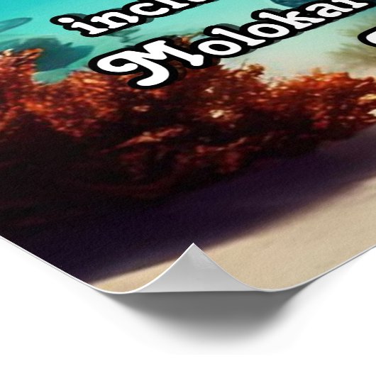 Hawaïaanse eilanden Molokai Aloha Poster (Hoek)